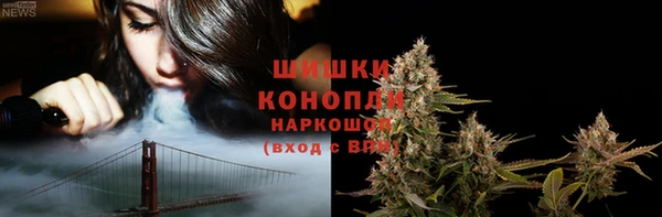 дживик Козельск