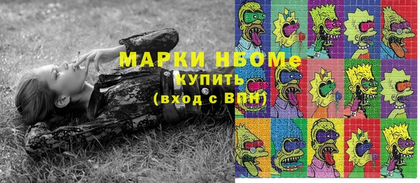 дживик Козельск