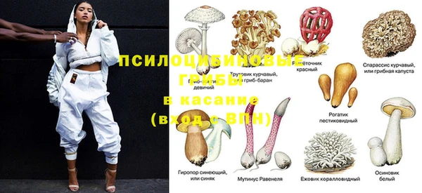 ALPHA PVP Кодинск