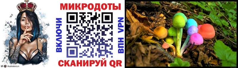 Купить где  Холм  Псилоцибиновые грибы прущие грибы 